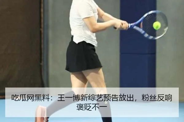 chi-gua-wang-hei-liao-wang-yi-bo-xin-zong-yi-yu-gao-fang-chu-fen-si-fan-xiang-bao-bian-bu-yi-2-819.jpg